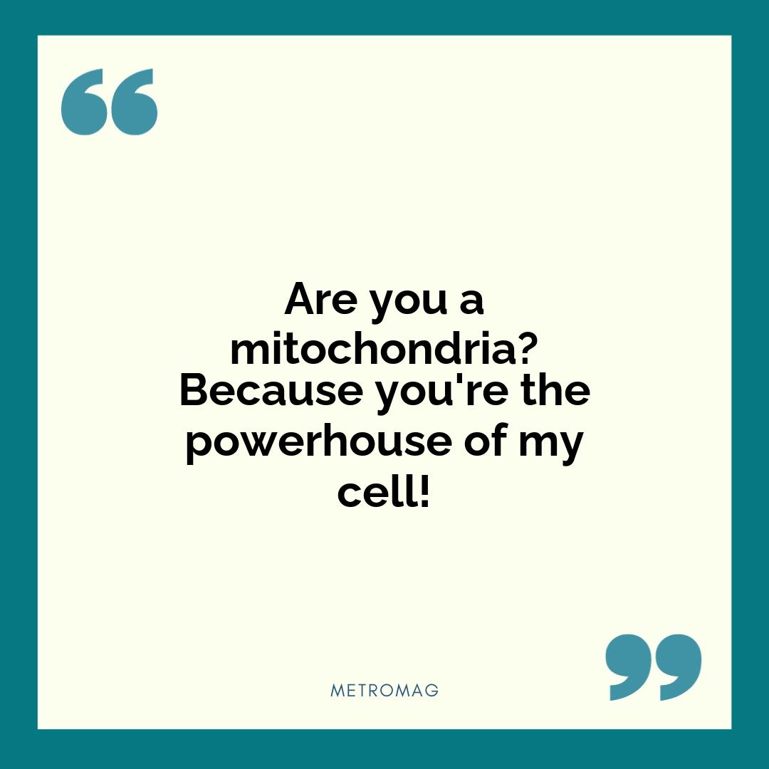 Are you a mitochondria? Because you're the powerhouse of my cell!