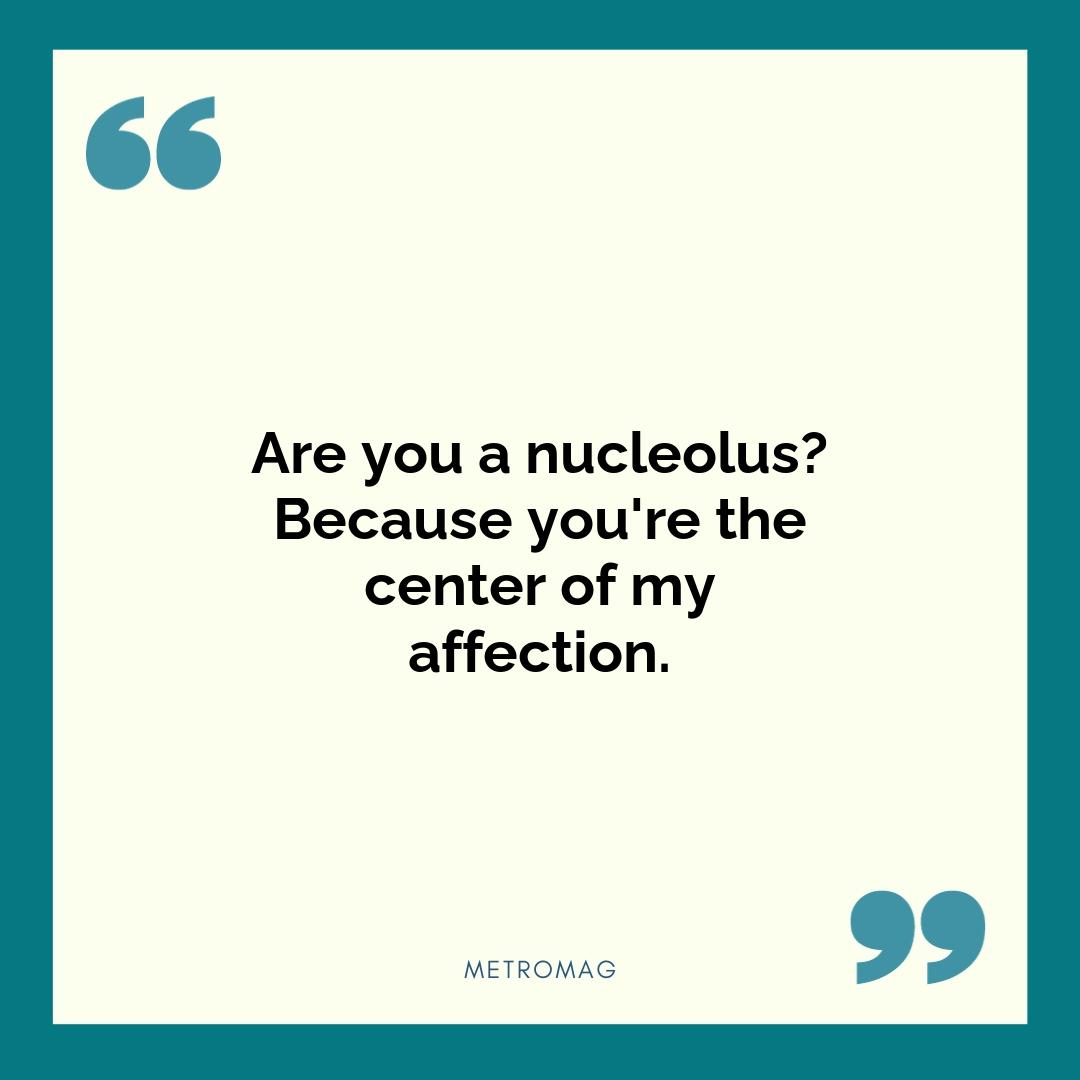 Are you a nucleolus? Because you're the center of my affection.