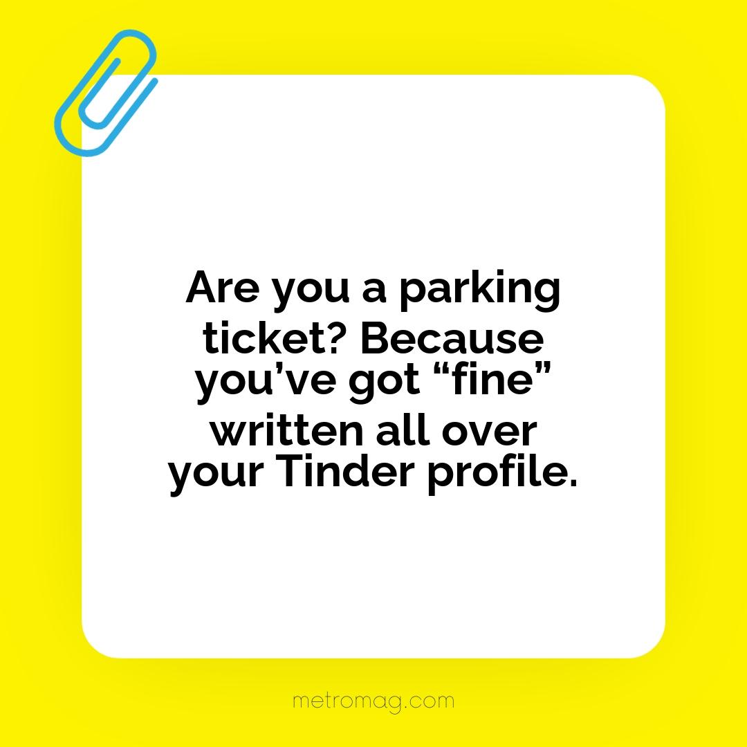 Are you a parking ticket? Because you’ve got “fine” written all over your Tinder profile.