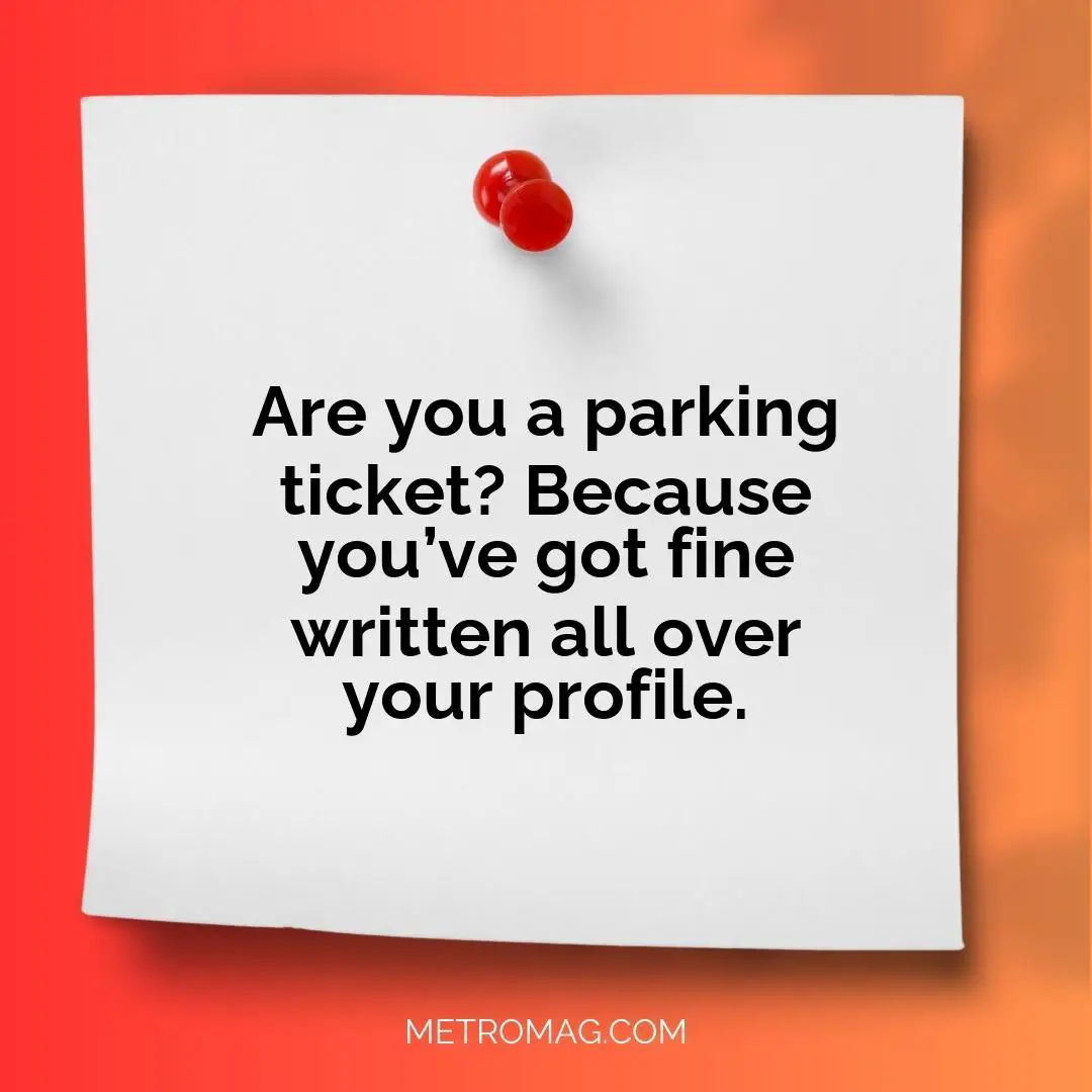 Are you a parking ticket? Because you’ve got fine written all over your profile.
