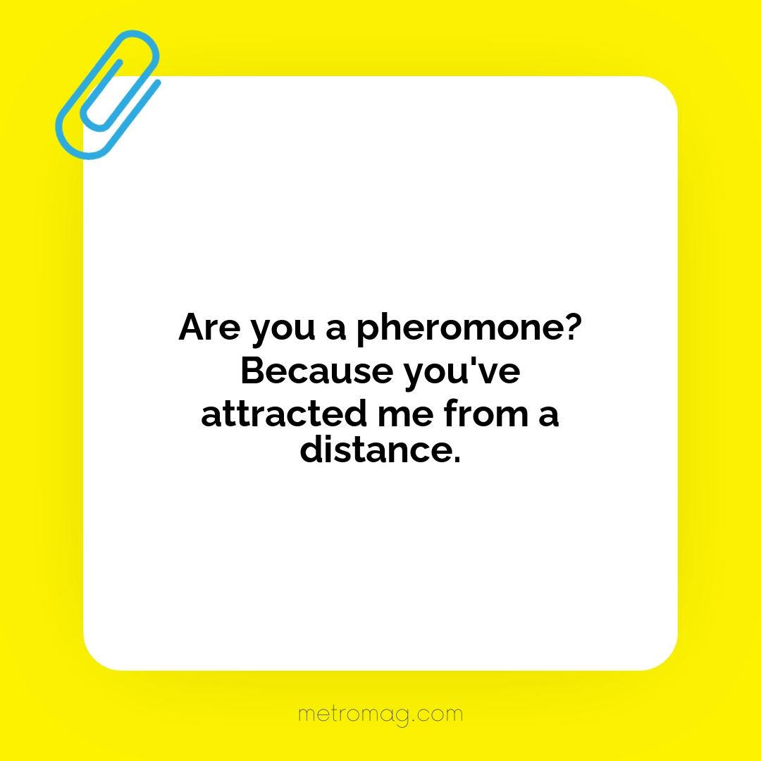 Are you a pheromone? Because you've attracted me from a distance.