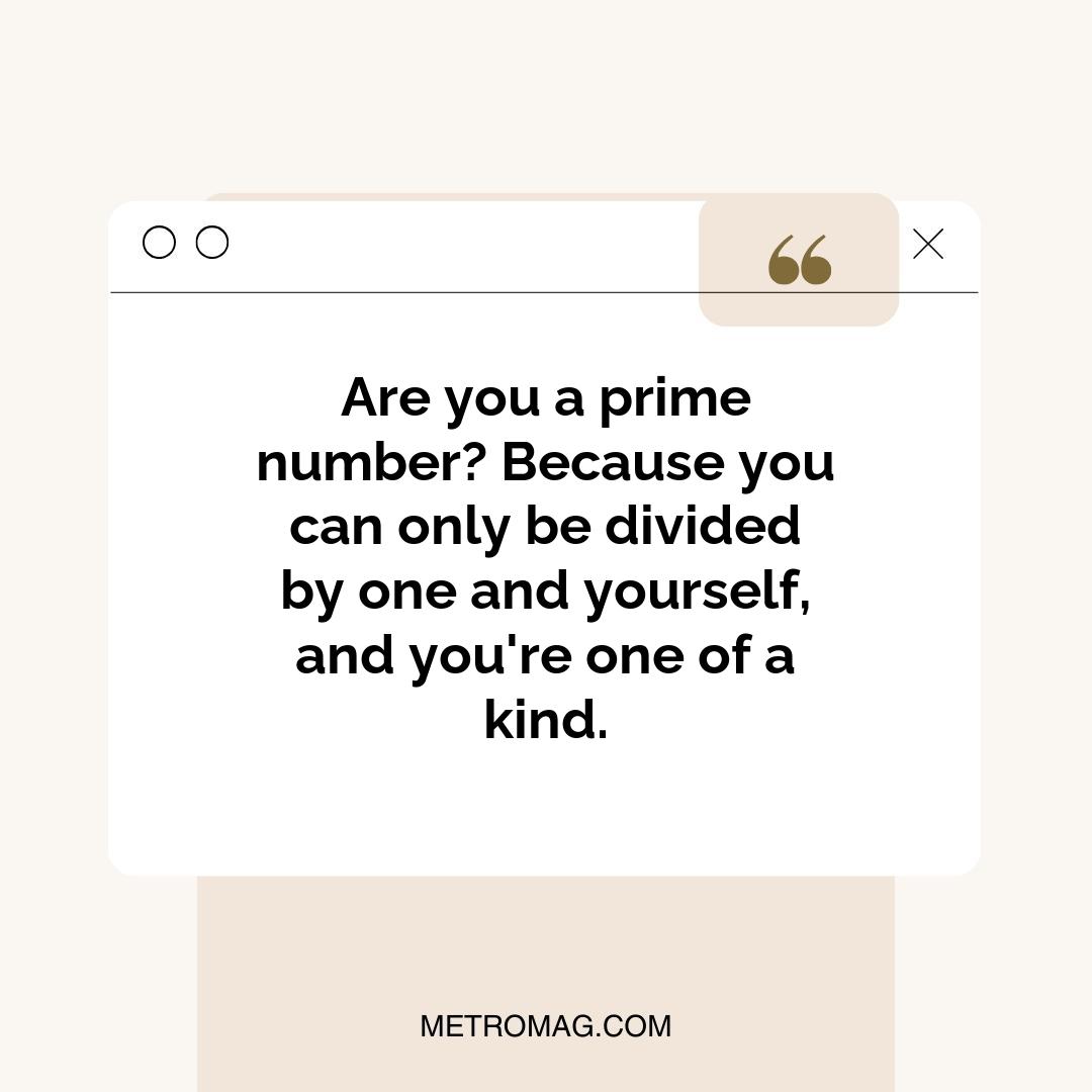Are you a prime number? Because you can only be divided by one and yourself, and you're one of a kind.