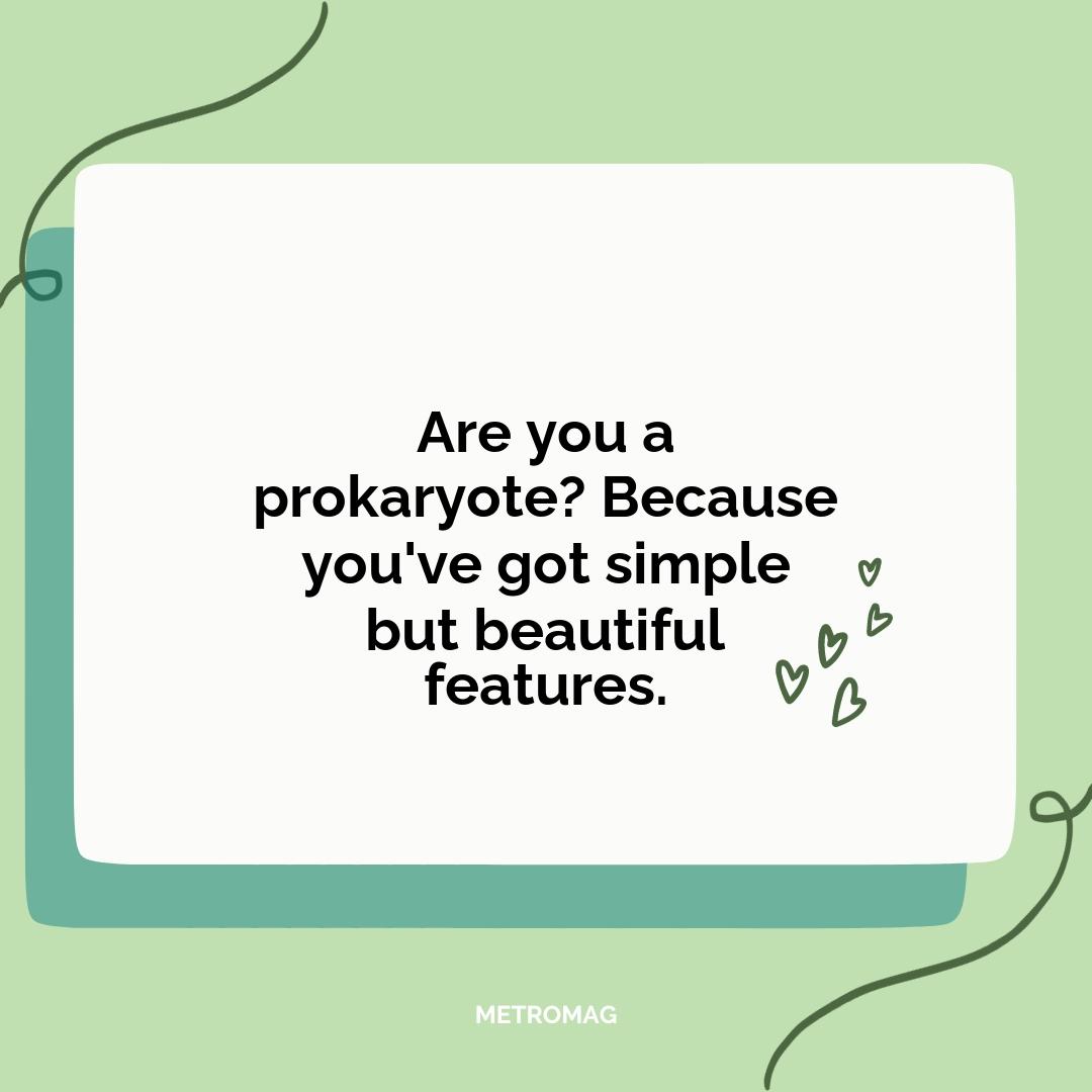 Are you a prokaryote? Because you've got simple but beautiful features.