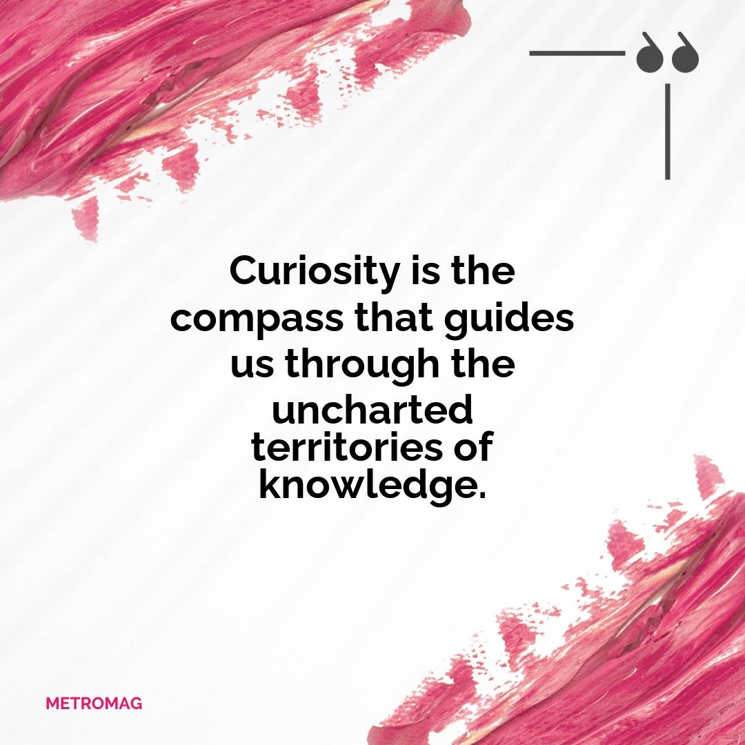 Curiosity is the compass that guides us through the uncharted territories of knowledge.