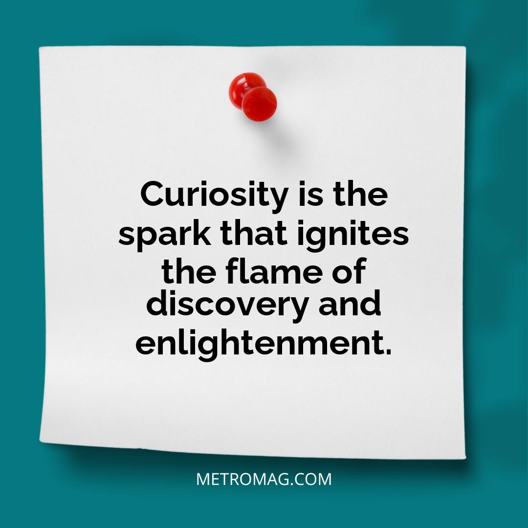 Curiosity is the spark that ignites the flame of discovery and enlightenment.