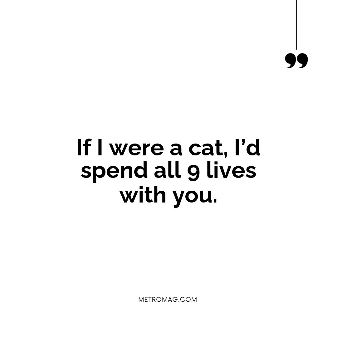 If I were a cat, I’d spend all 9 lives with you.