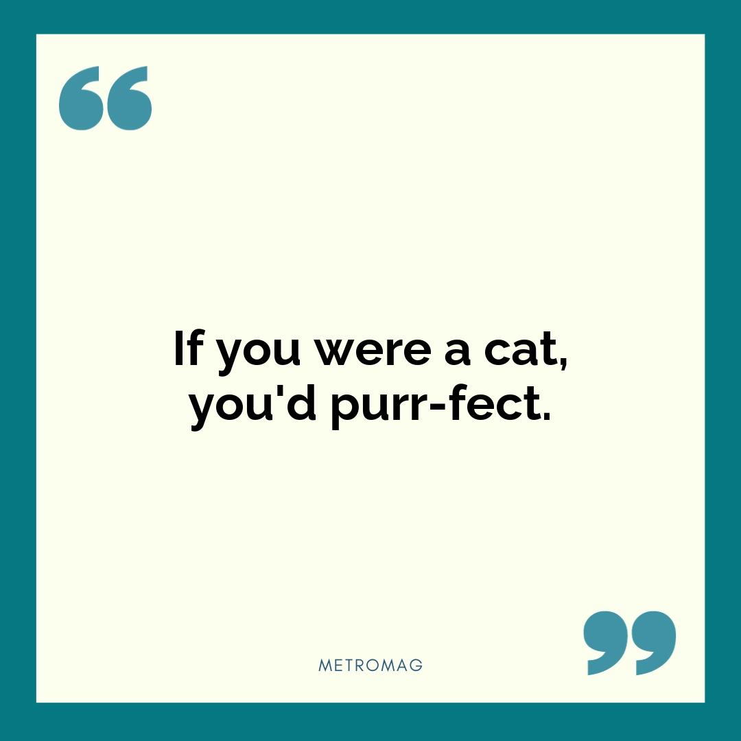 If you were a cat, you'd purr-fect.