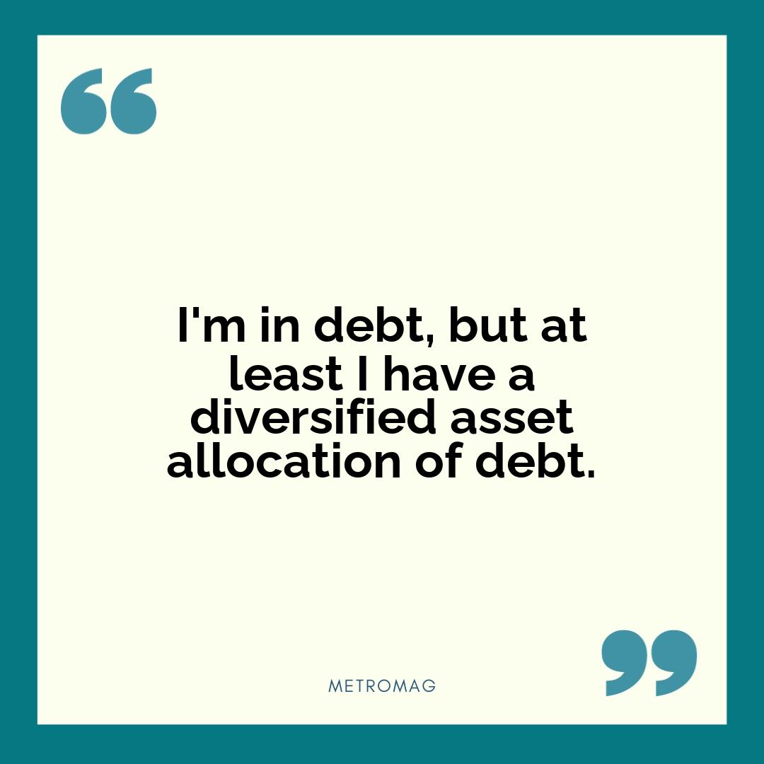 I'm in debt, but at least I have a diversified asset allocation of debt.