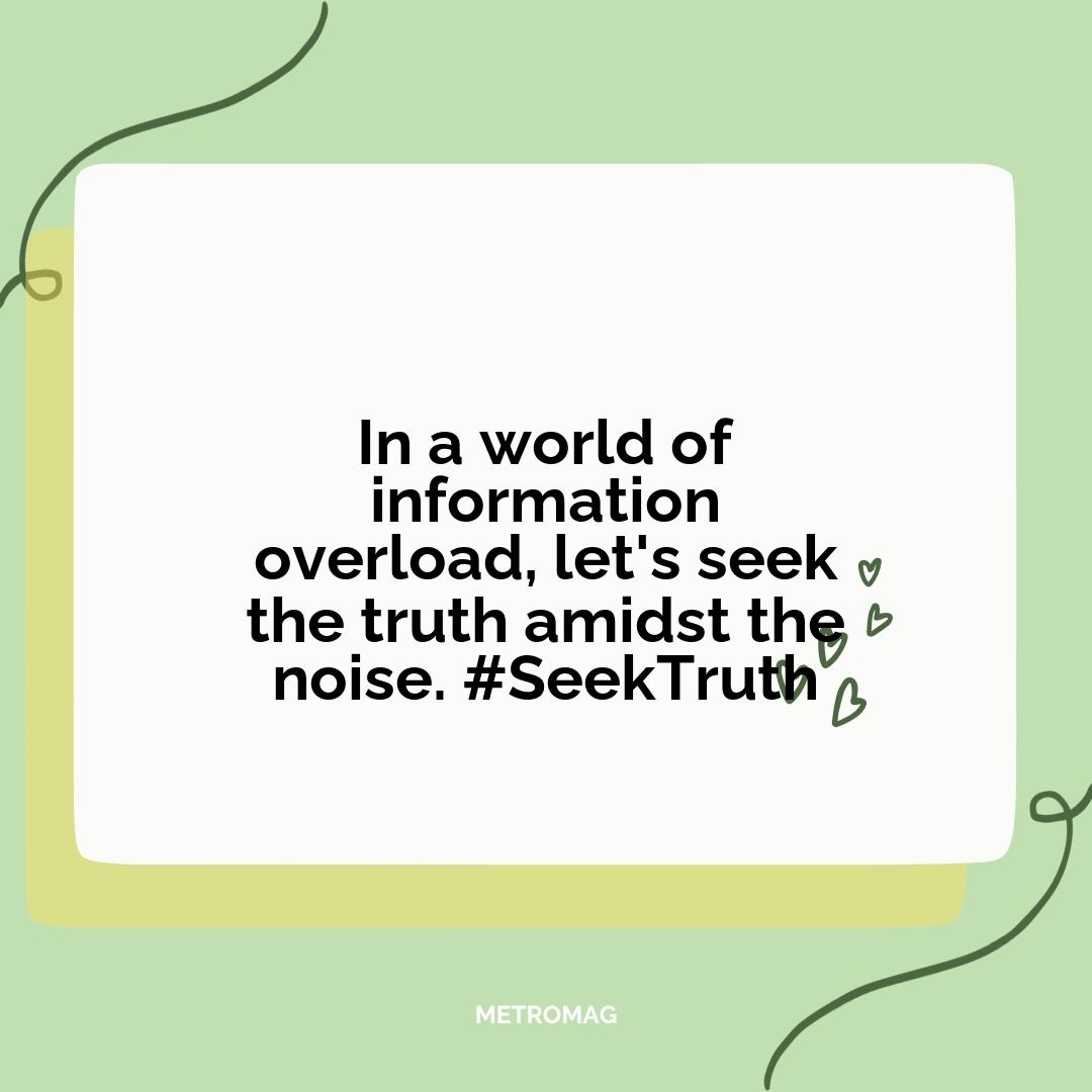 In a world of information overload, let's seek the truth amidst the noise. #SeekTruth
