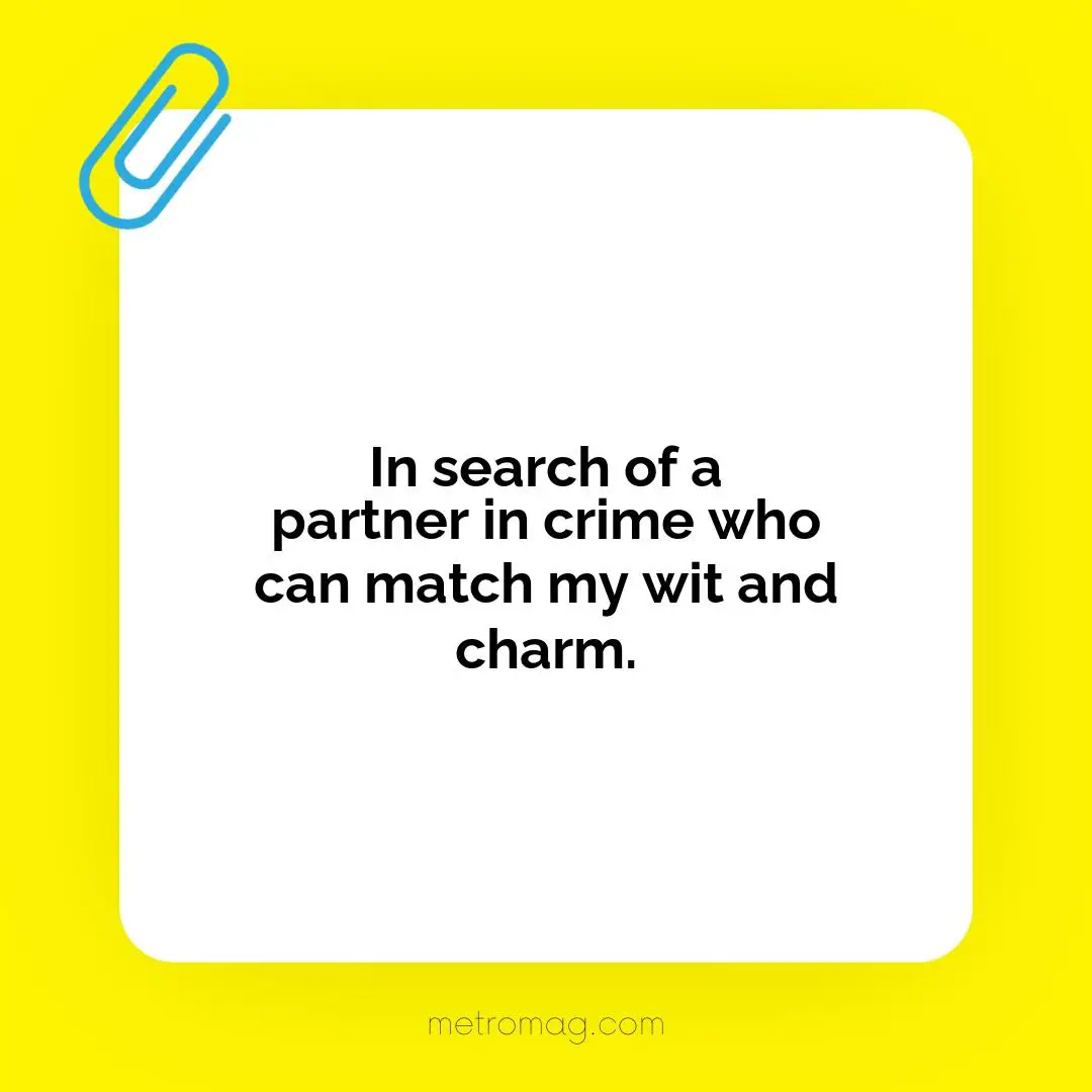 In search of a partner in crime who can match my wit and charm.