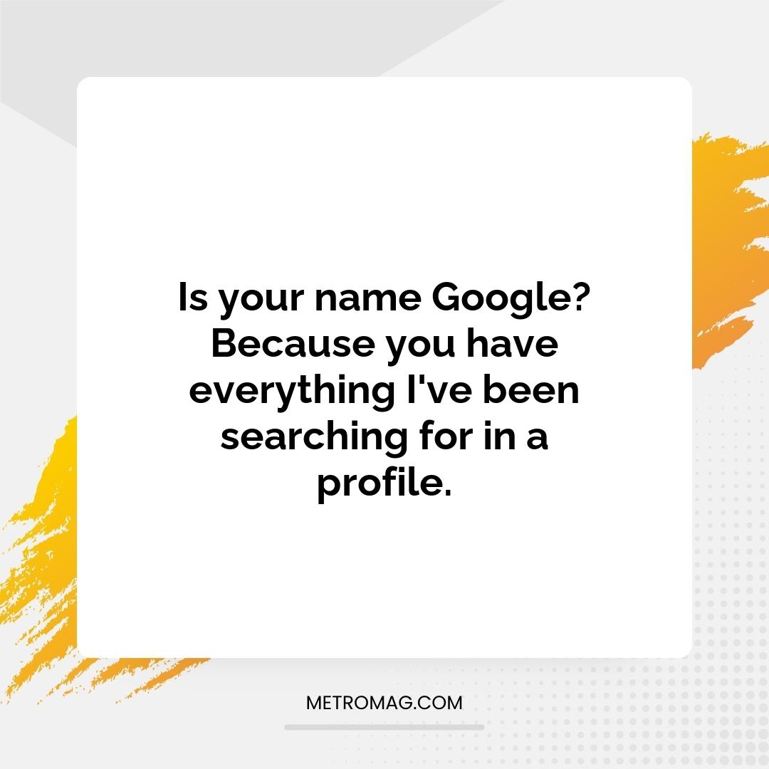 Is your name Google? Because you have everything I've been searching for in a profile.