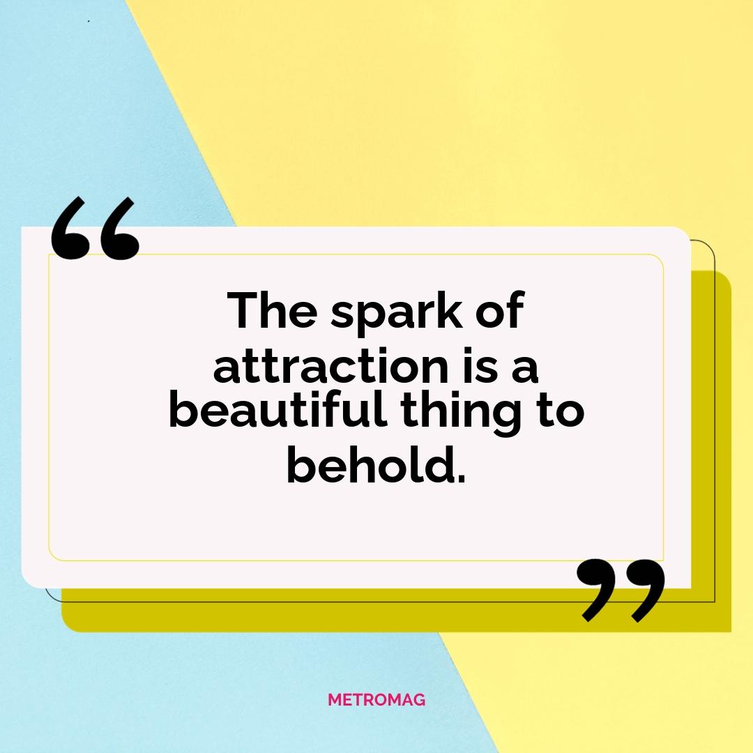The spark of attraction is a beautiful thing to behold.