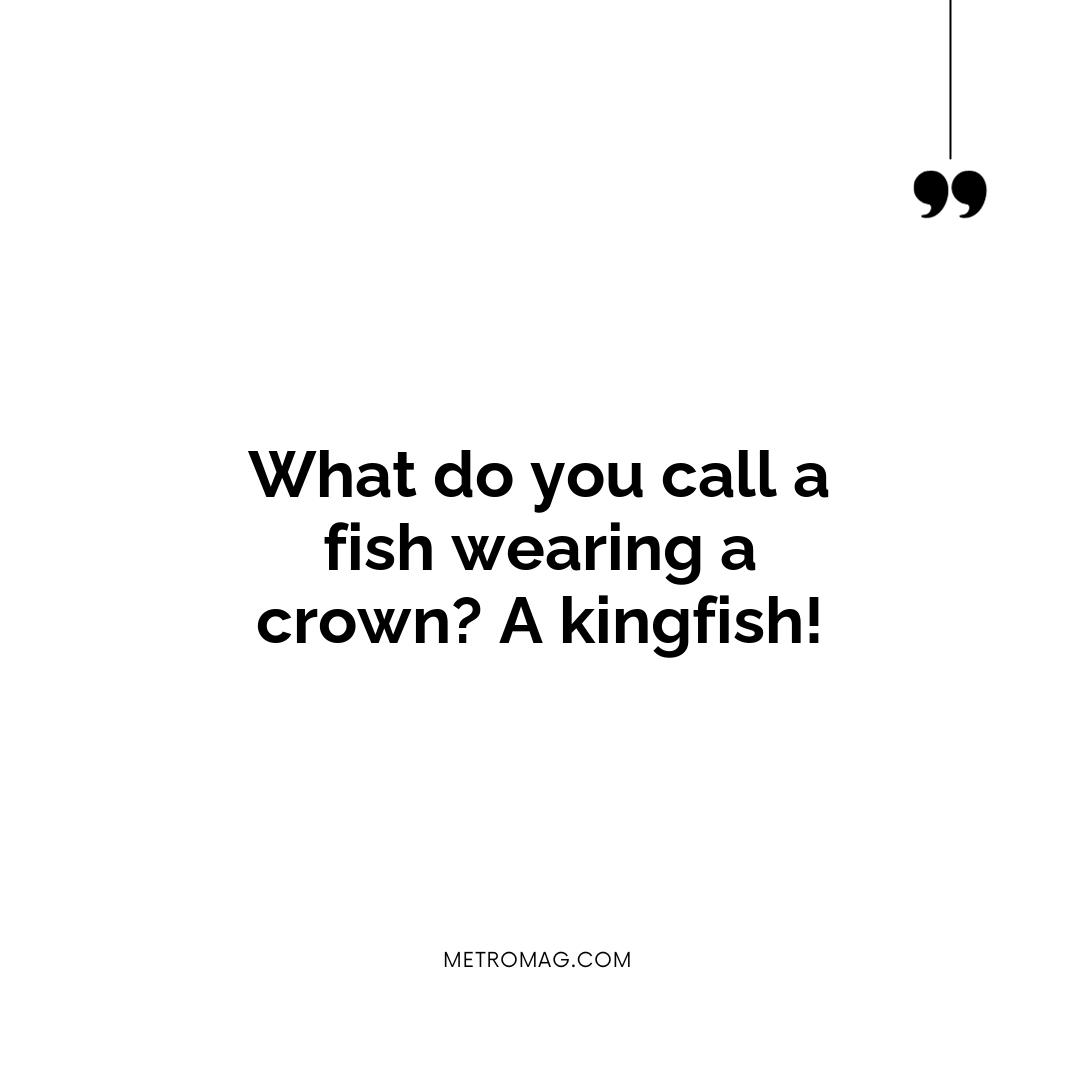 What do you call a fish wearing a crown? A kingfish!