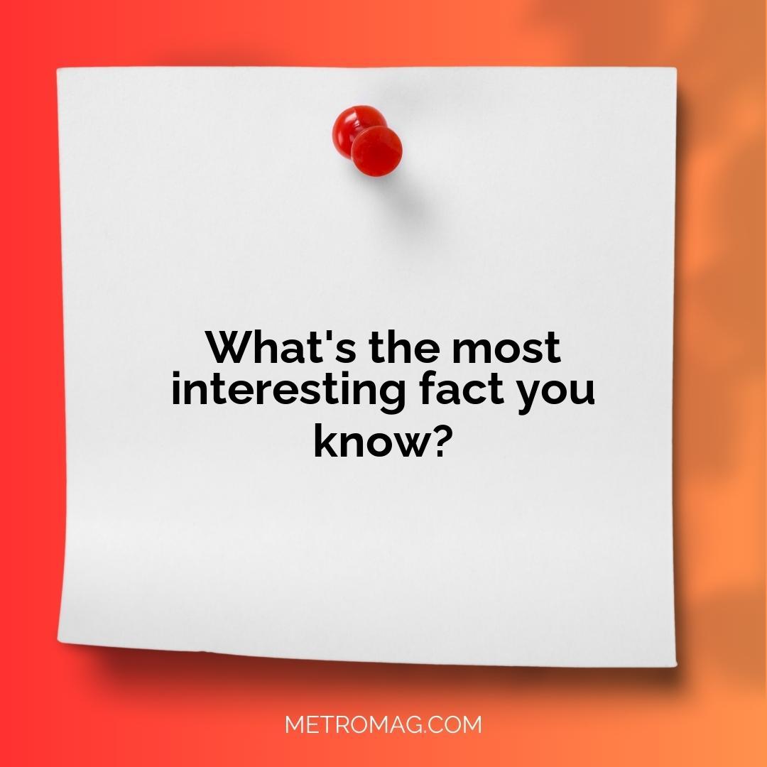 What's the most interesting fact you know?