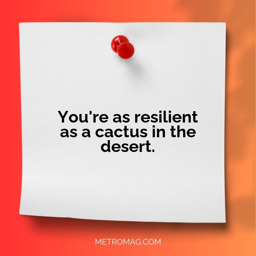 You're as resilient as a cactus in the desert.