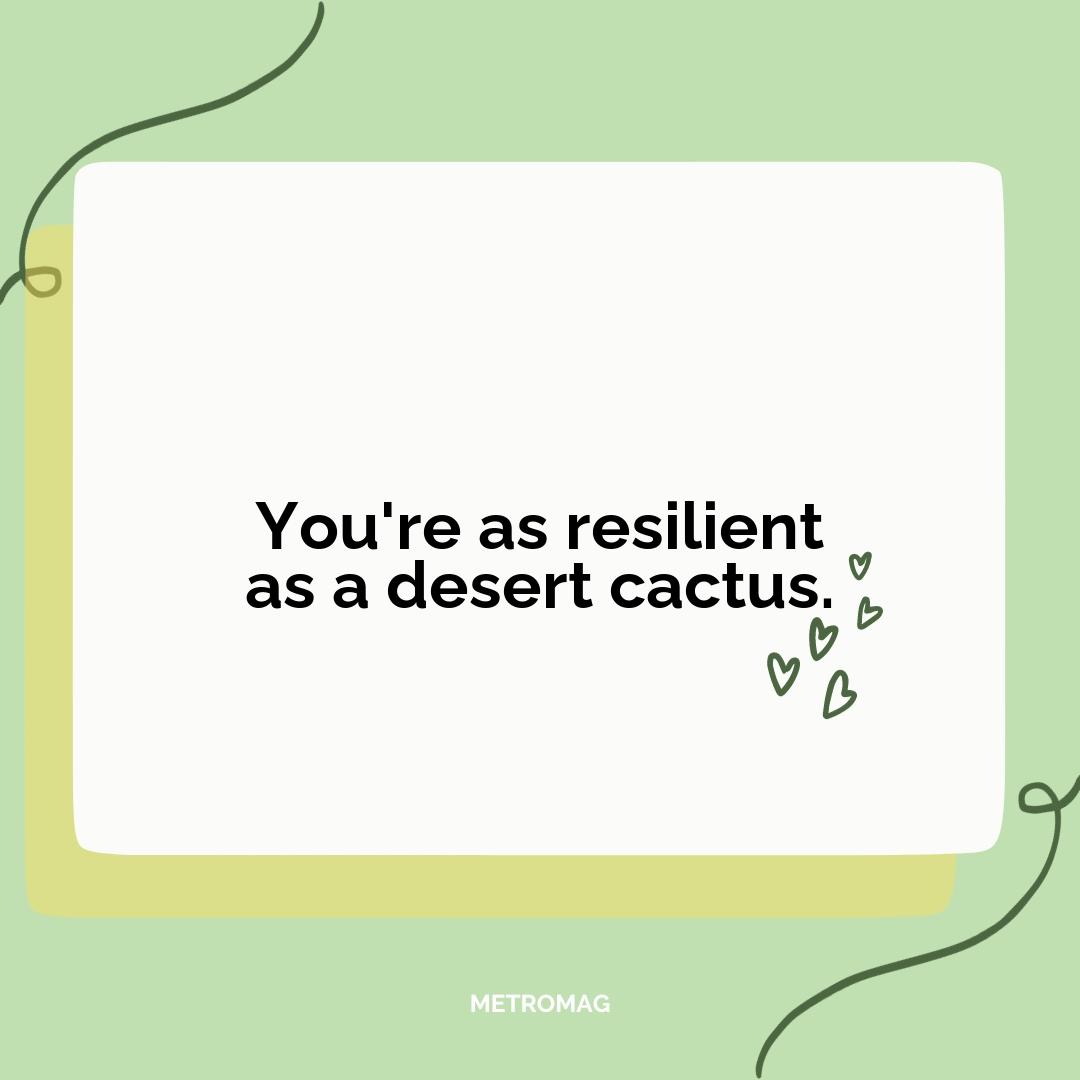 You're as resilient as a desert cactus.