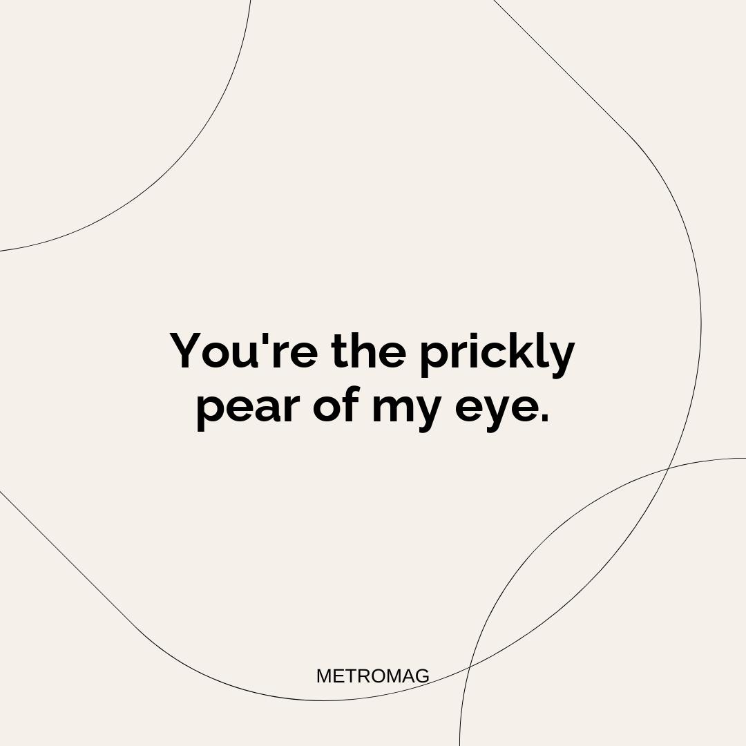 You're the prickly pear of my eye.