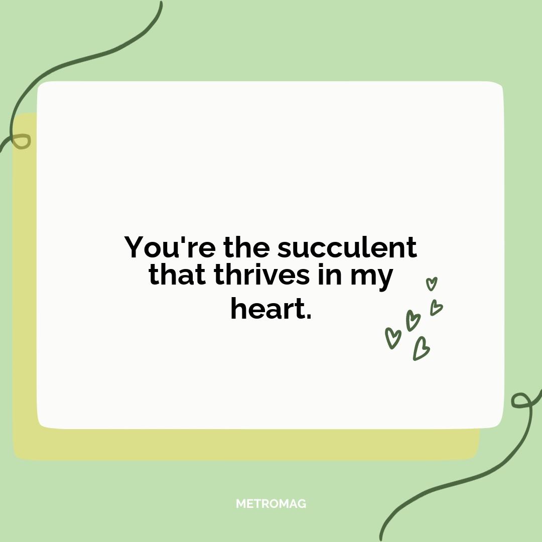 You're the succulent that thrives in my heart.