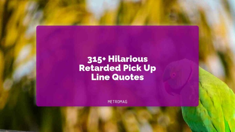315+ Hilarious Retarded Pick Up Line Quotes
