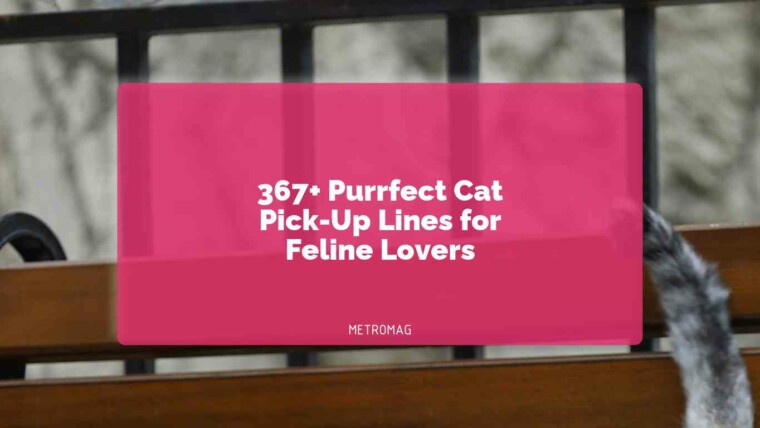 367+ Purrfect Cat Pick-Up Lines for Feline Lovers