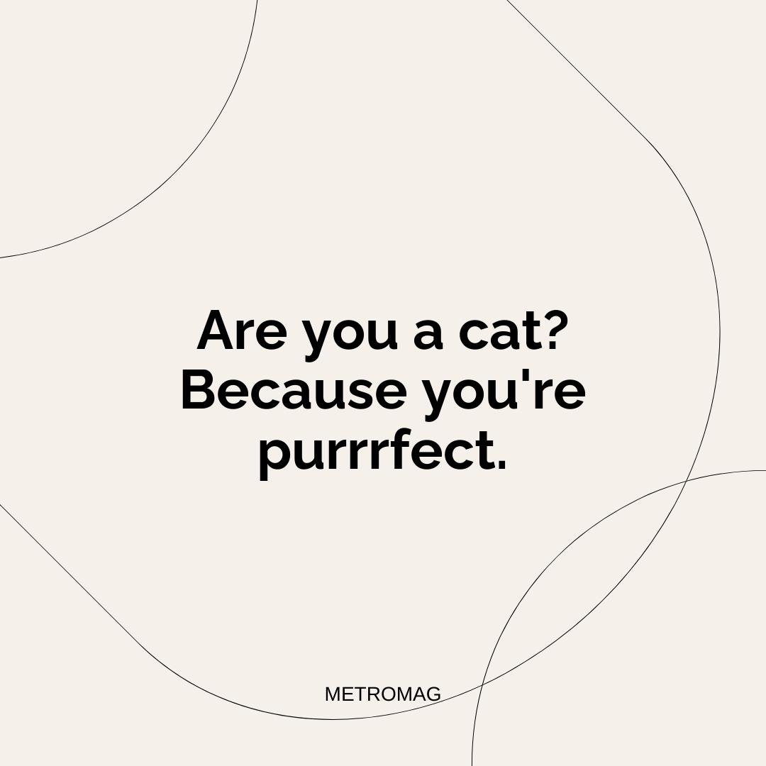 Are you a cat? Because you're purrrfect.