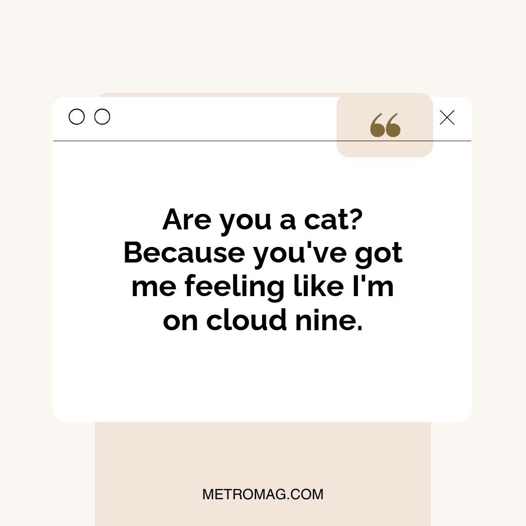 Are you a cat? Because you've got me feeling like I'm on cloud nine.