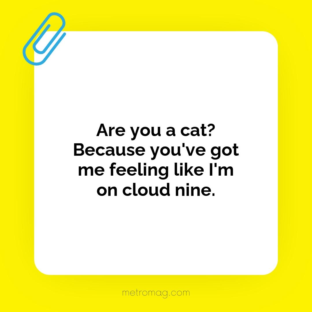 Are you a cat? Because you've got me feeling like I'm on cloud nine.