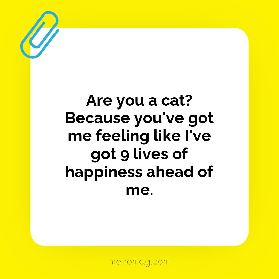 Are you a cat? Because you've got me feeling like I've got 9 lives of happiness ahead of me.