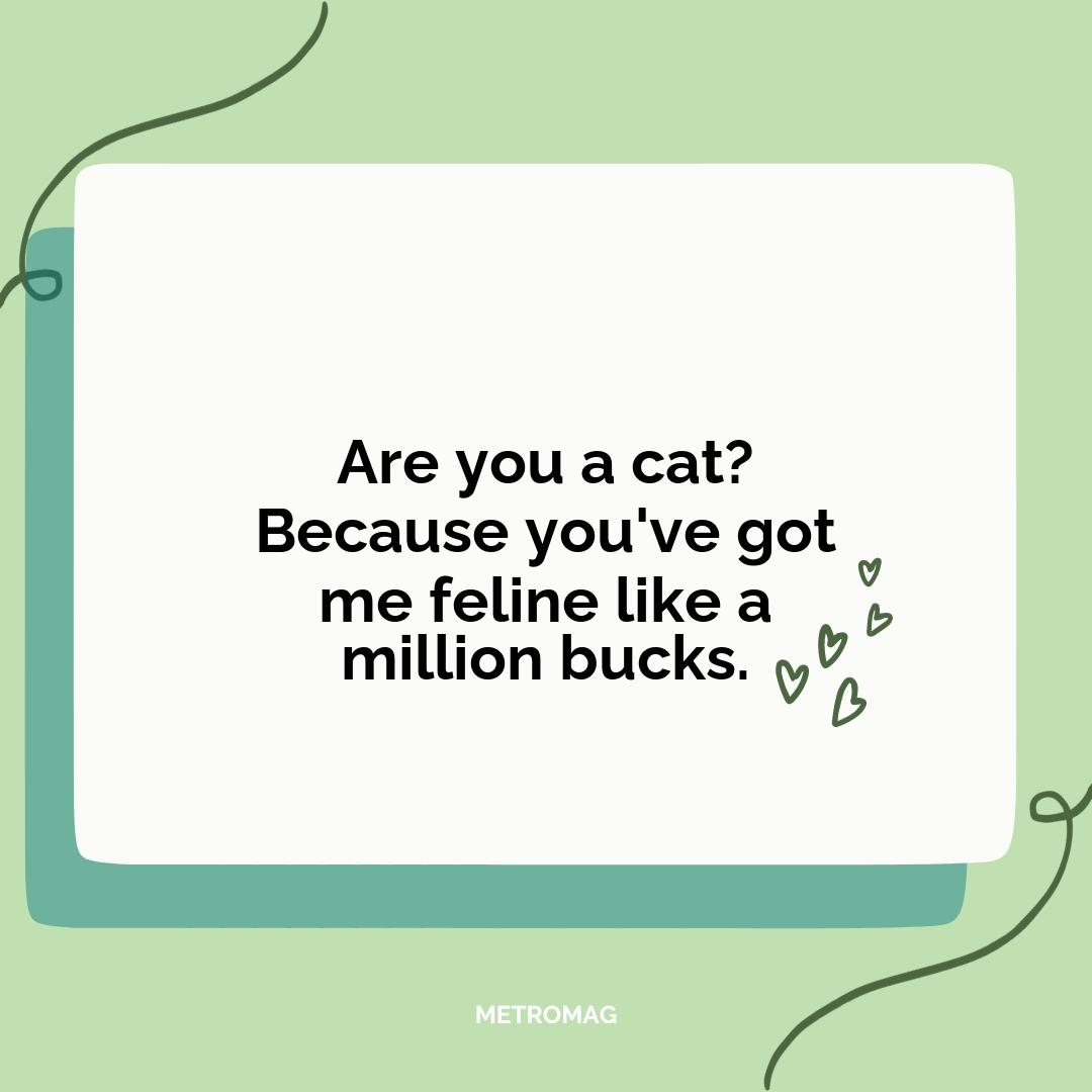 Are you a cat? Because you've got me feline like a million bucks.