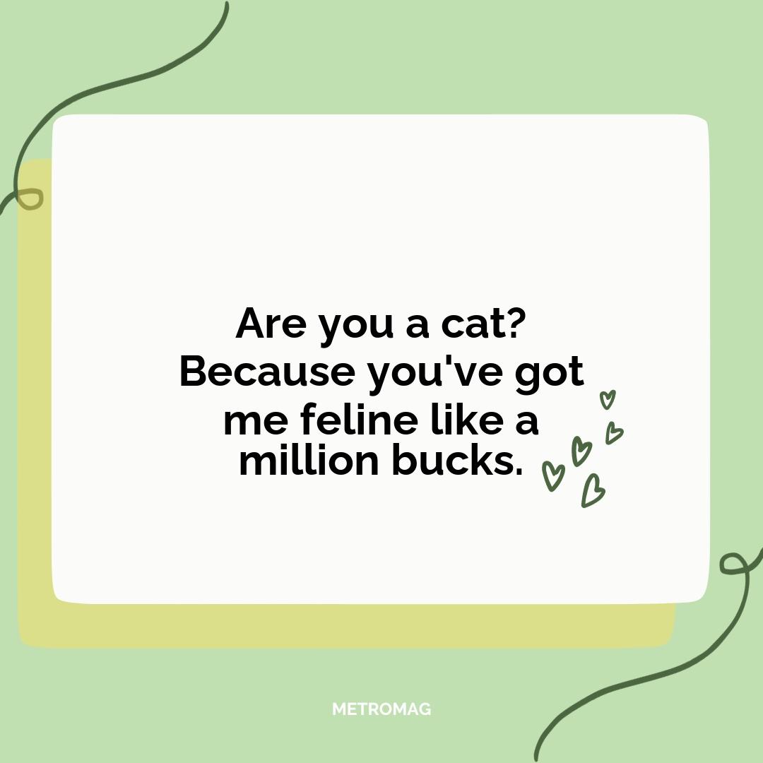 Are you a cat? Because you've got me feline like a million bucks.