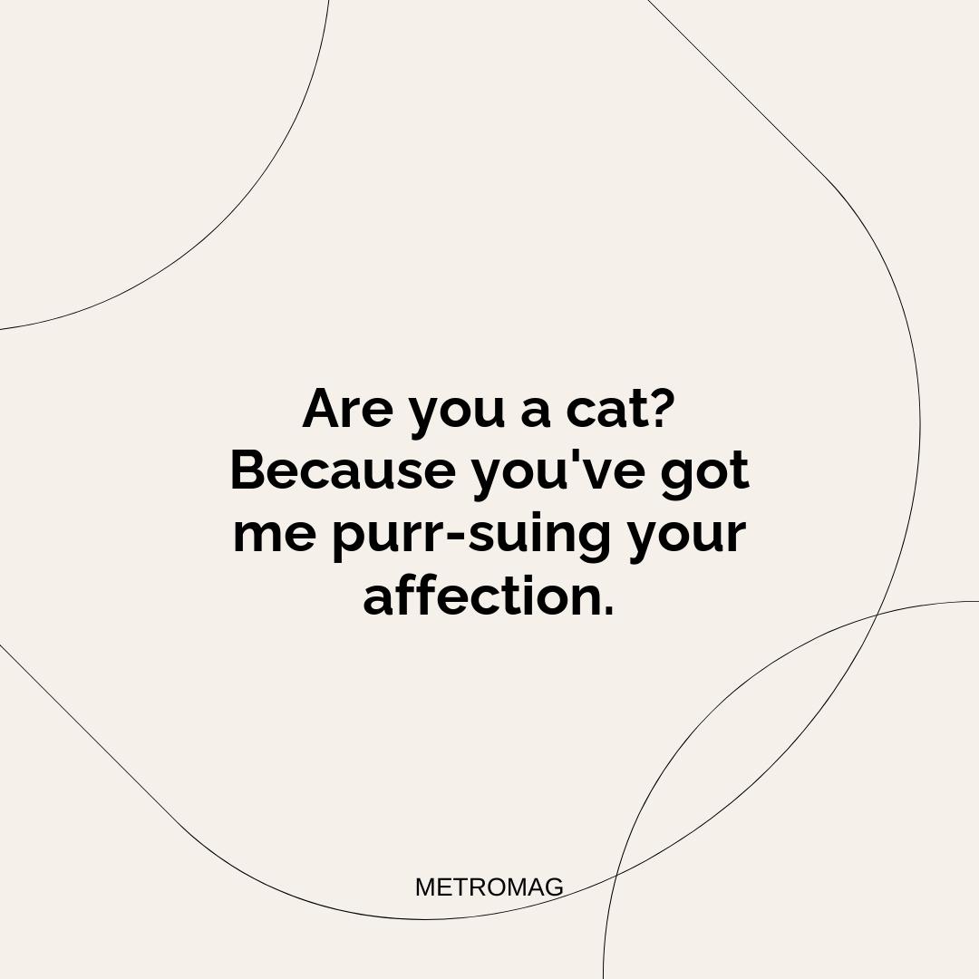 Are you a cat? Because you've got me purr-suing your affection.