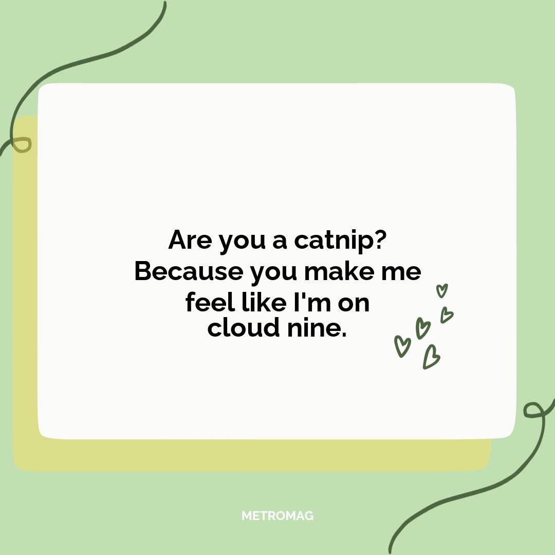 Are you a catnip? Because you make me feel like I'm on cloud nine.