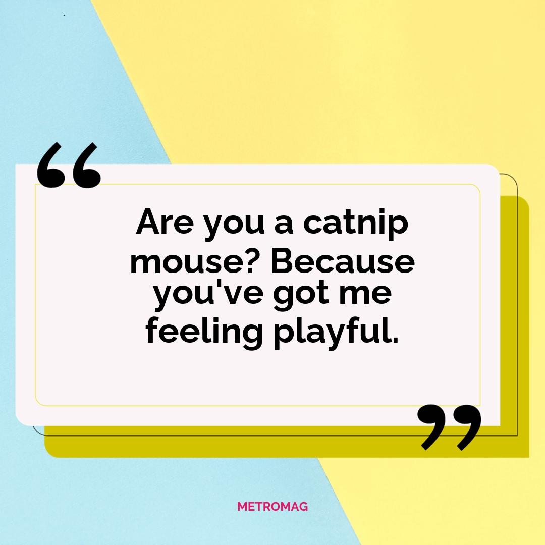 Are you a catnip mouse? Because you've got me feeling playful.