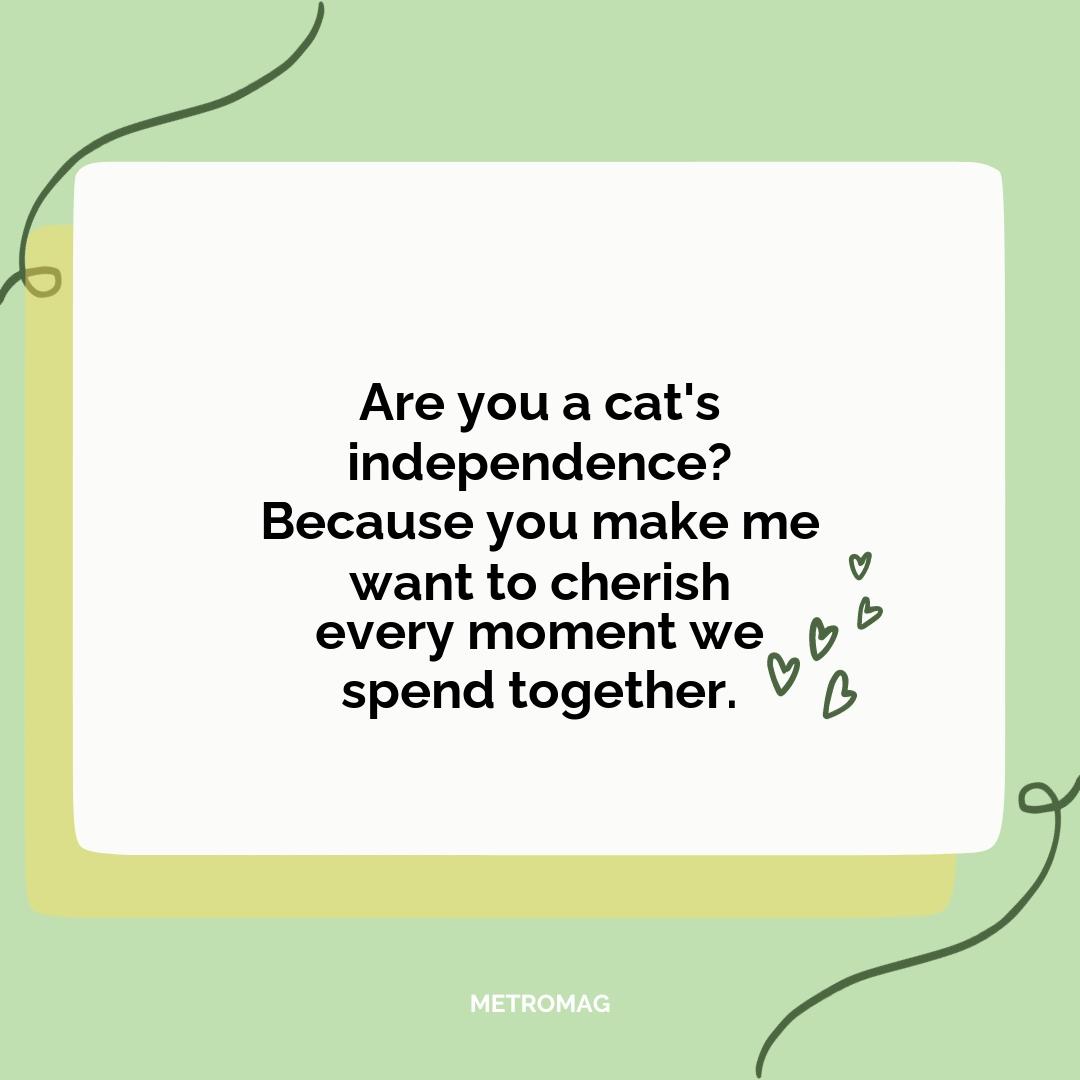 Are you a cat's independence? Because you make me want to cherish every moment we spend together.