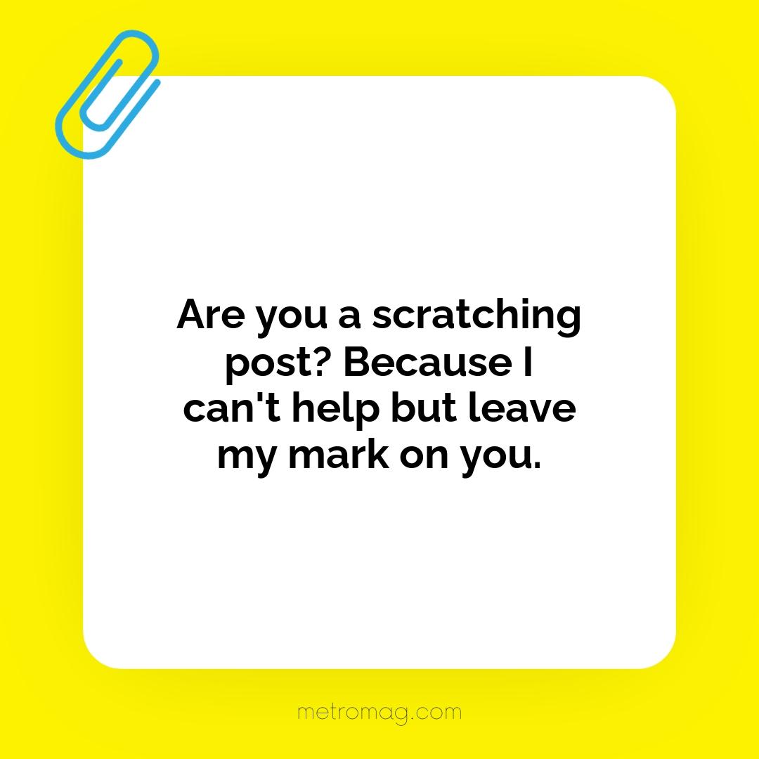 Are you a scratching post? Because I can't help but leave my mark on you.