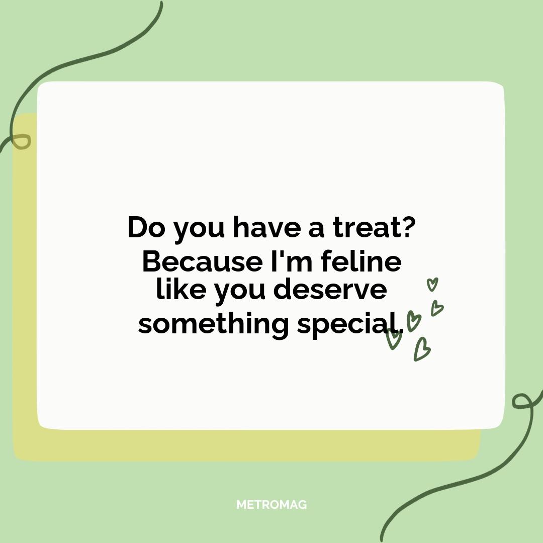 Do you have a treat? Because I'm feline like you deserve something special.