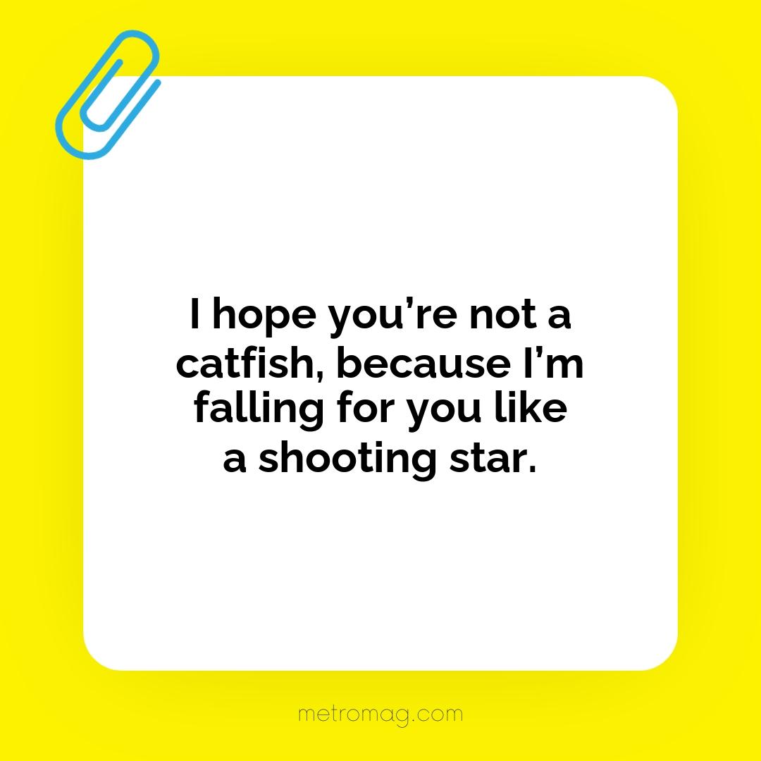 I hope you’re not a catfish, because I’m falling for you like a shooting star.