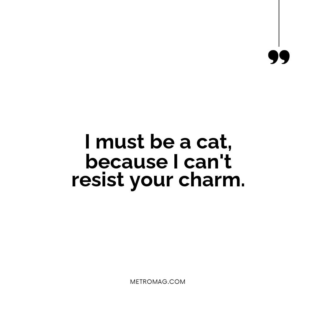 I must be a cat, because I can't resist your charm.