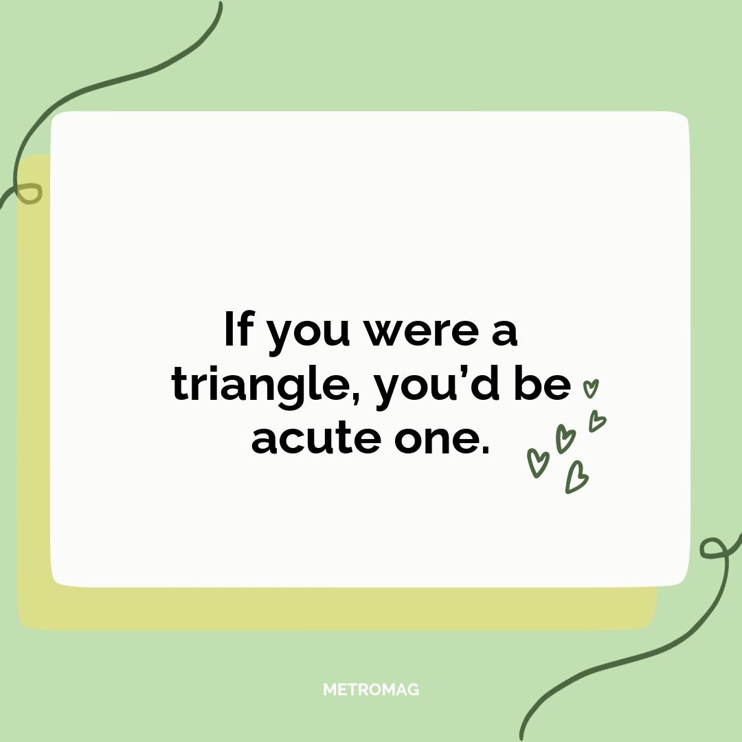 If you were a triangle, you’d be acute one.