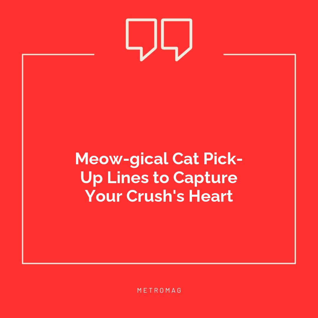 Meow-gical Cat Pick-Up Lines to Capture Your Crush's Heart