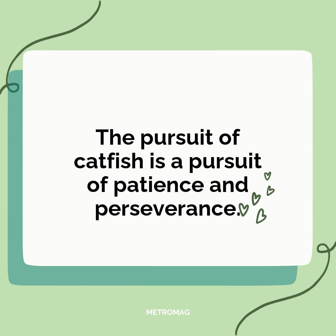 The pursuit of catfish is a pursuit of patience and perseverance.