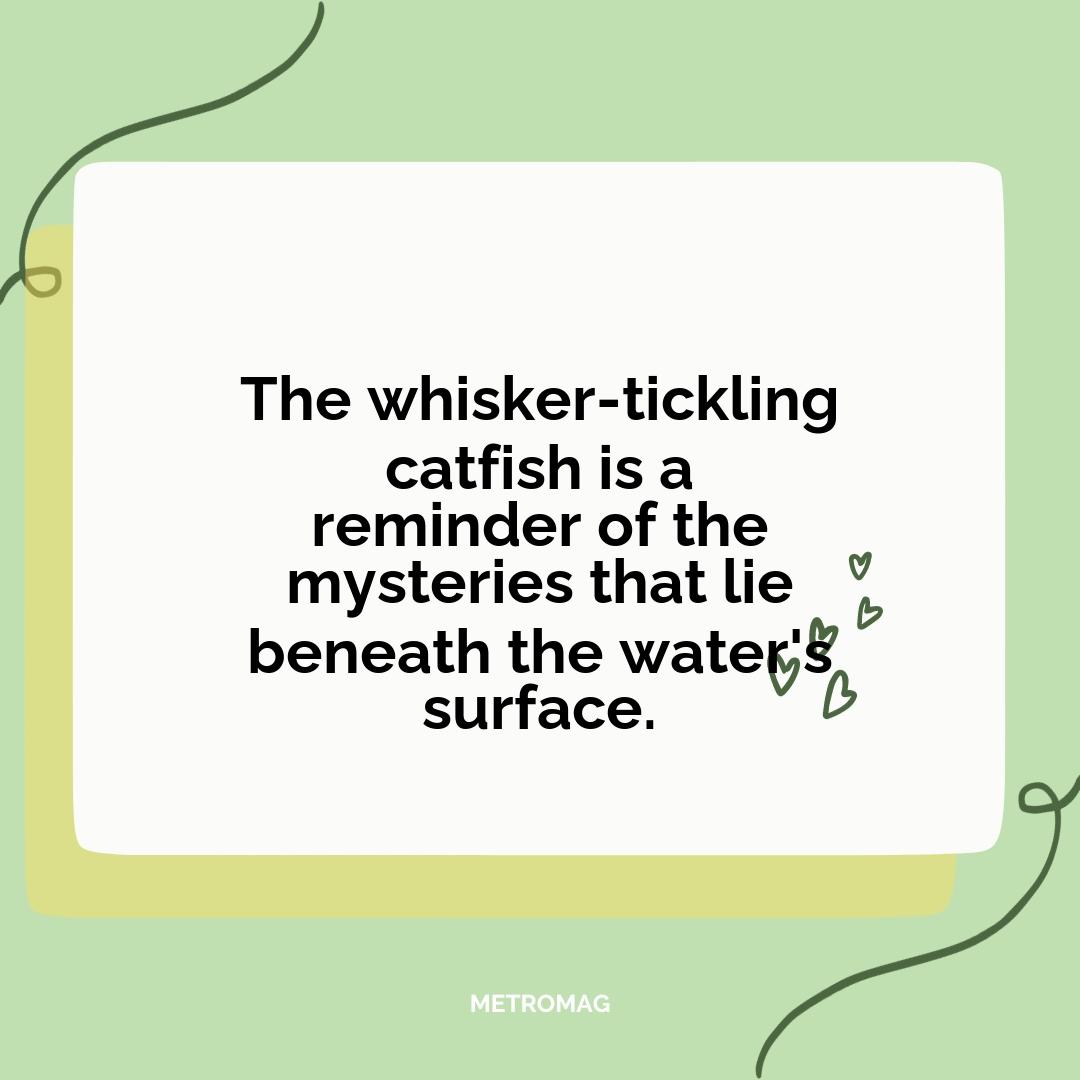 The whisker-tickling catfish is a reminder of the mysteries that lie beneath the water's surface.