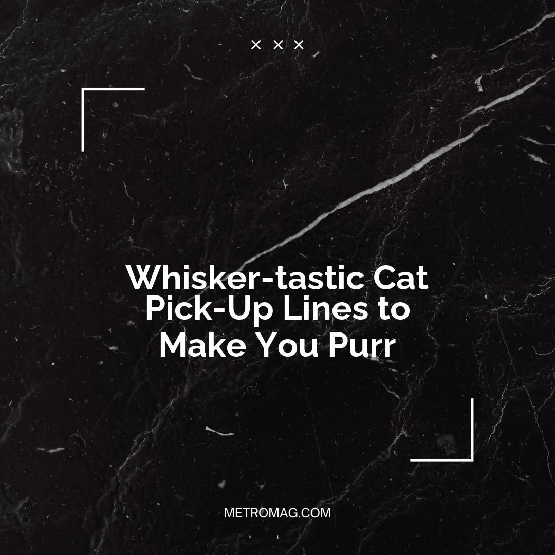 Whisker-tastic Cat Pick-Up Lines to Make You Purr