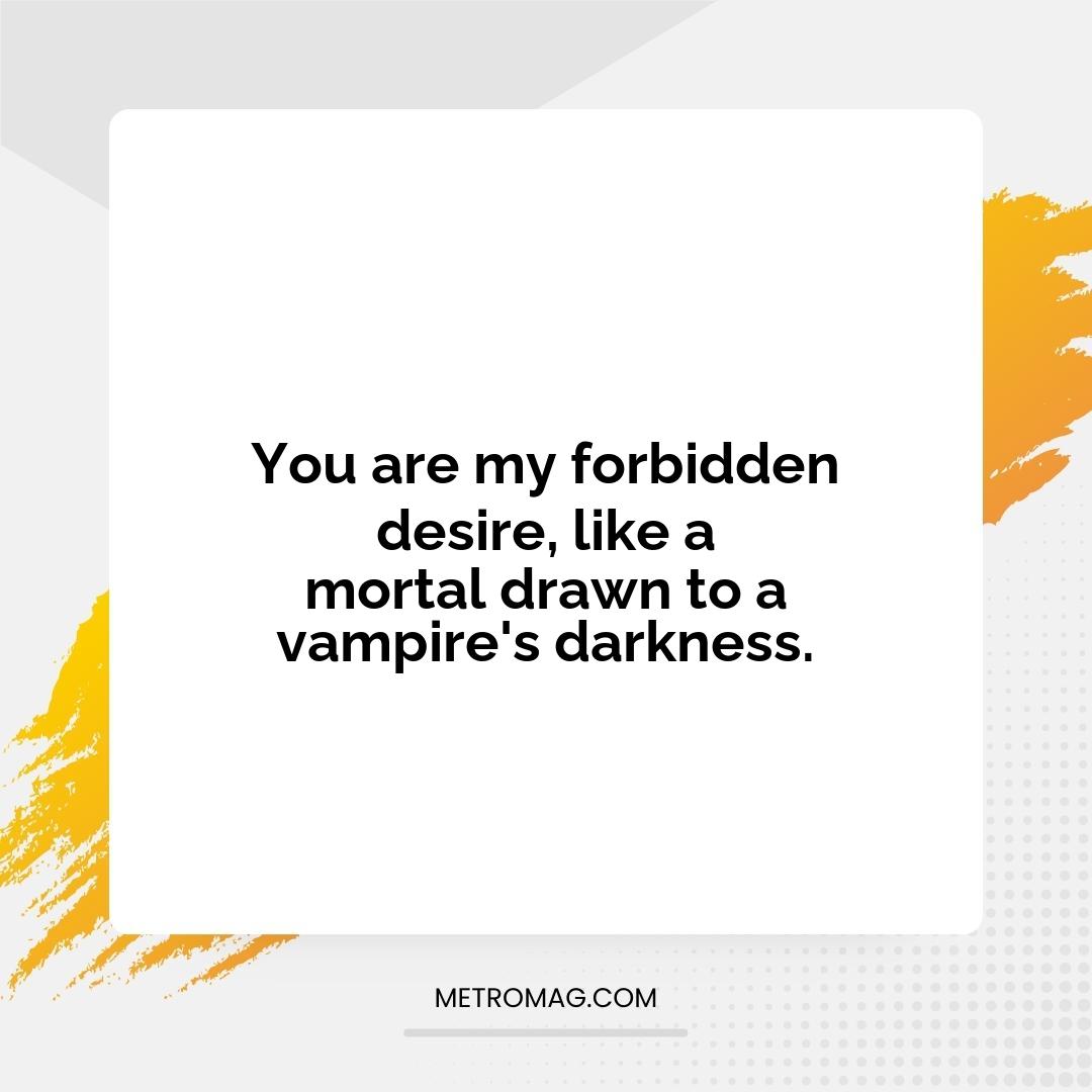 You are my forbidden desire, like a mortal drawn to a vampire's darkness.