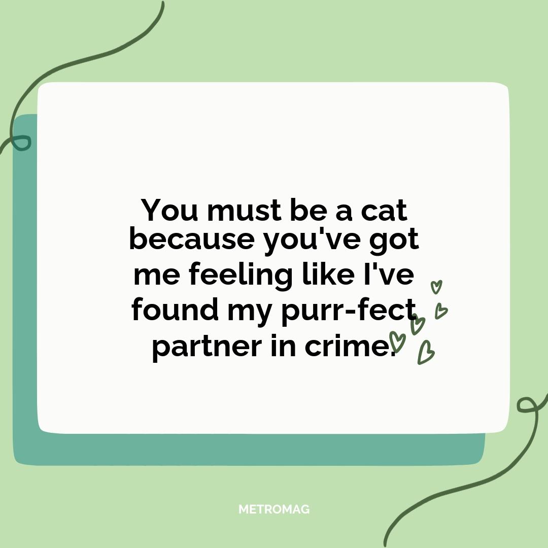 You must be a cat because you've got me feeling like I've found my purr-fect partner in crime.