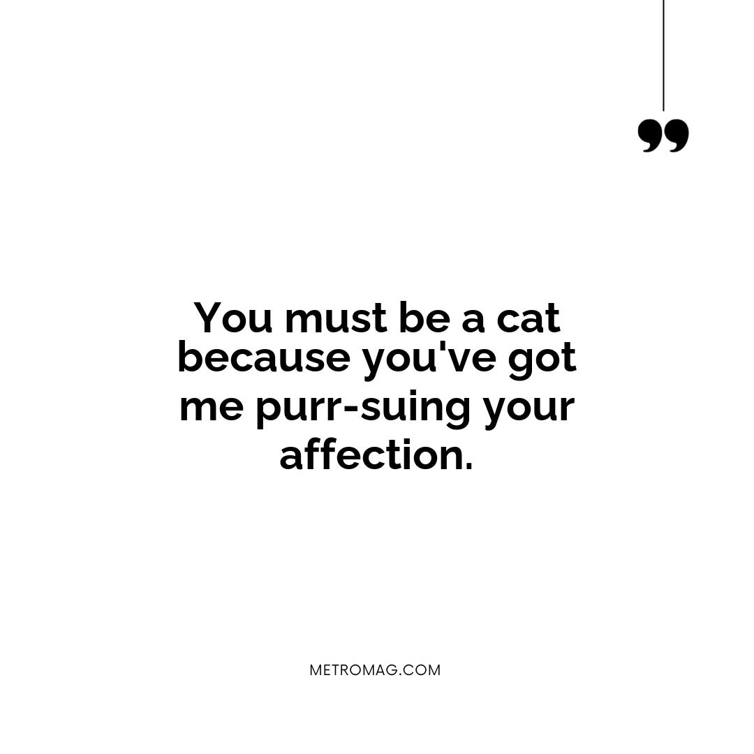 You must be a cat because you've got me purr-suing your affection.