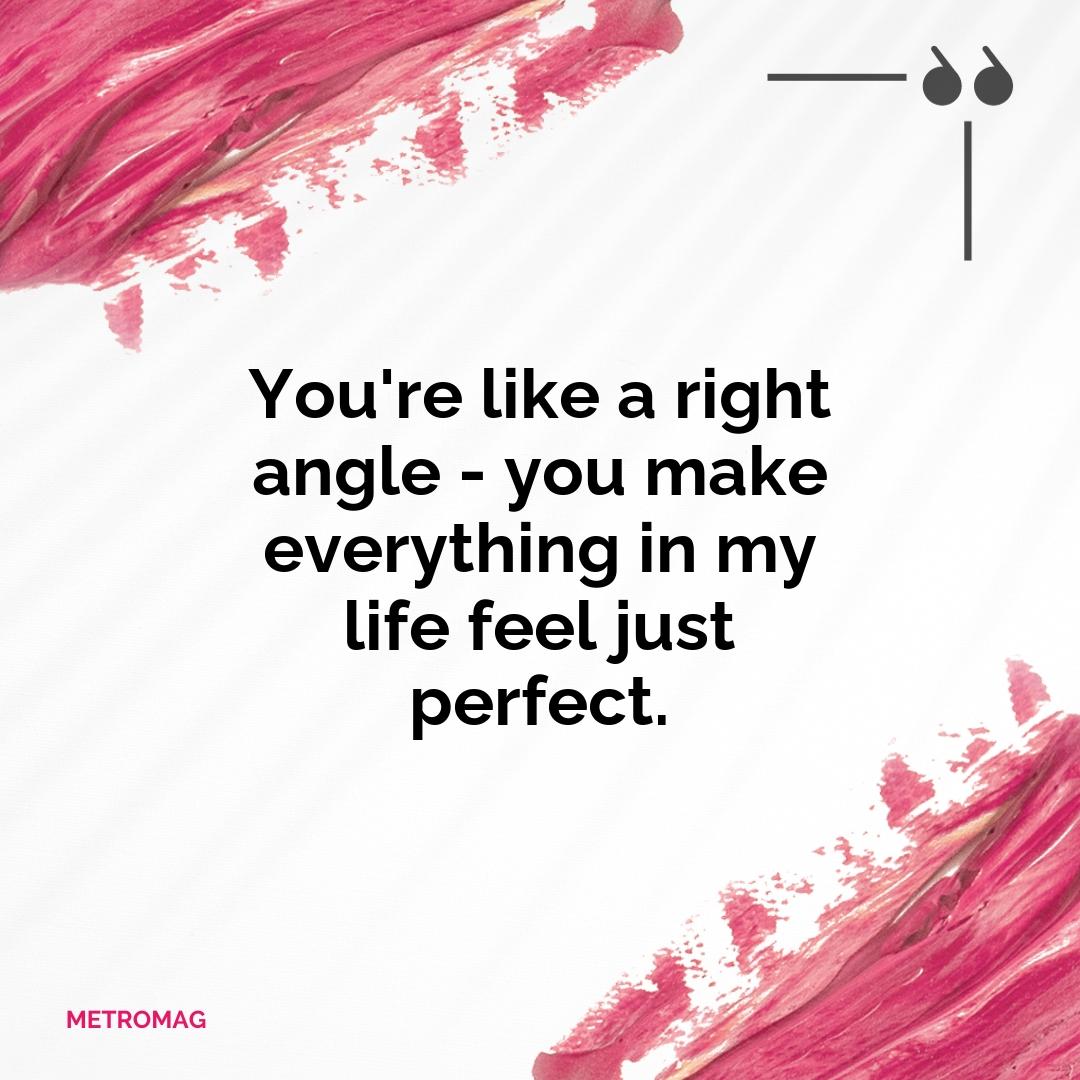 You're like a right angle - you make everything in my life feel just perfect.