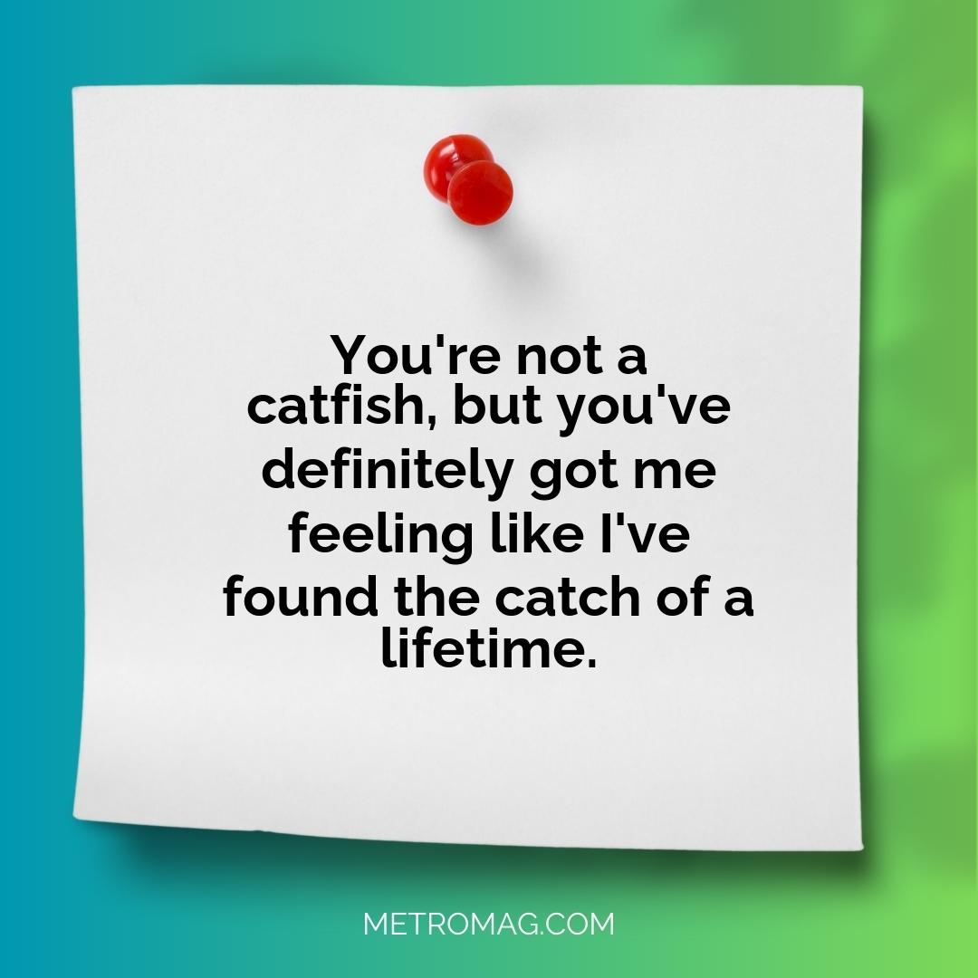 You're not a catfish, but you've definitely got me feeling like I've found the catch of a lifetime.