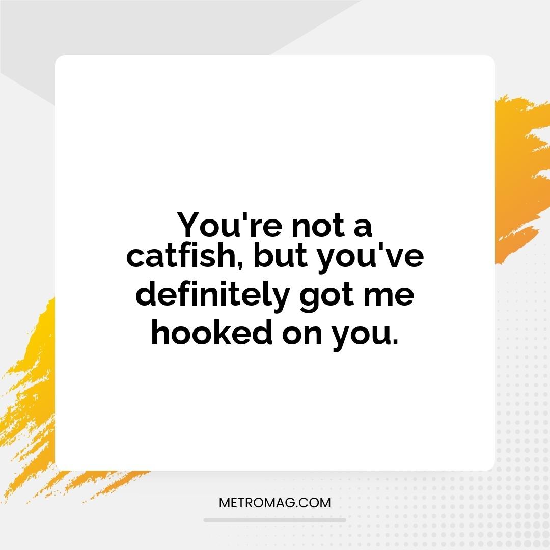 You're not a catfish, but you've definitely got me hooked on you.
