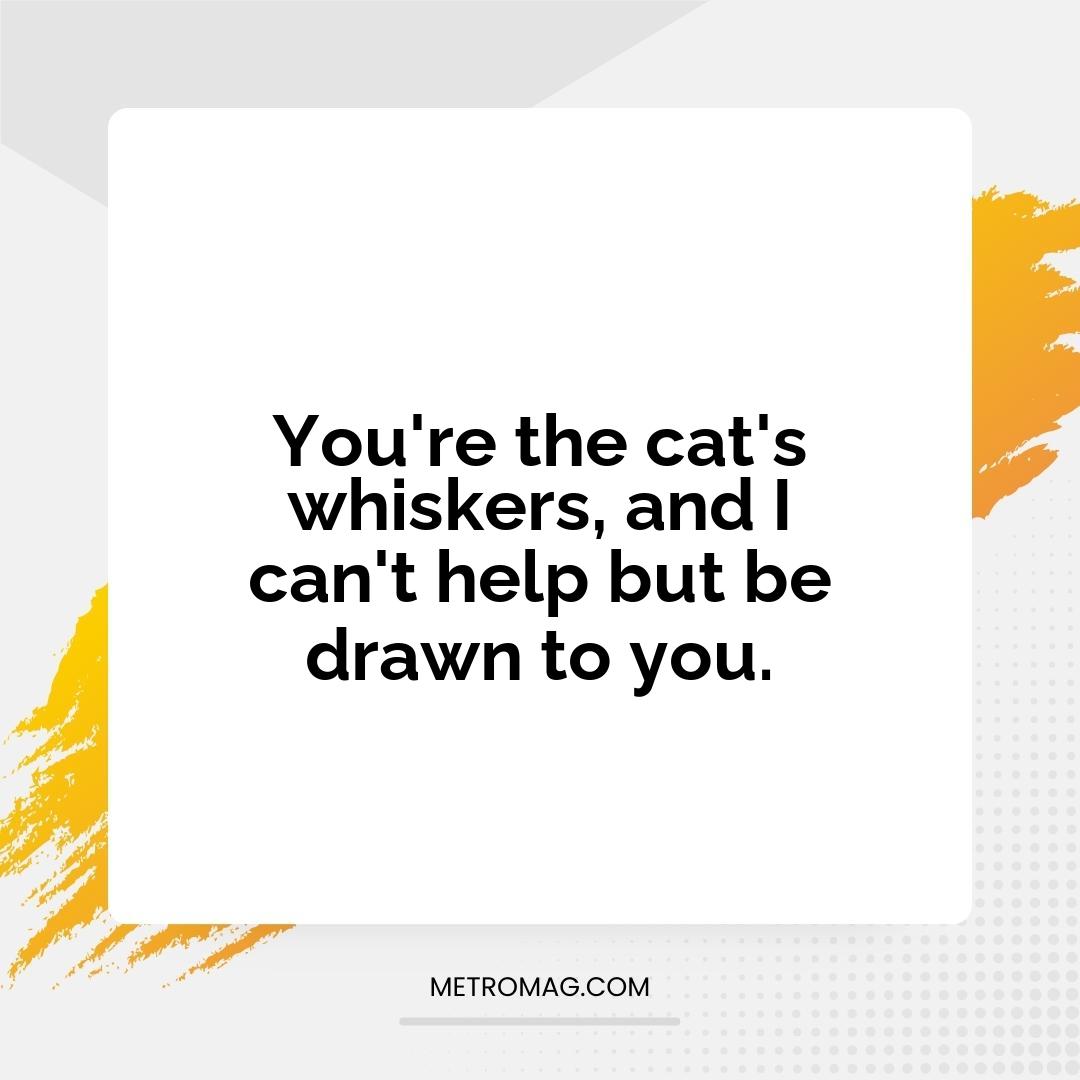 You're the cat's whiskers, and I can't help but be drawn to you.